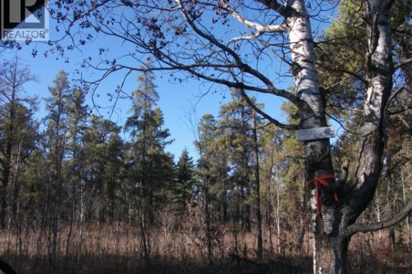 5-3 Lot 1.20 Acres, Hudson Bay Rm No  394, SK, photo 3