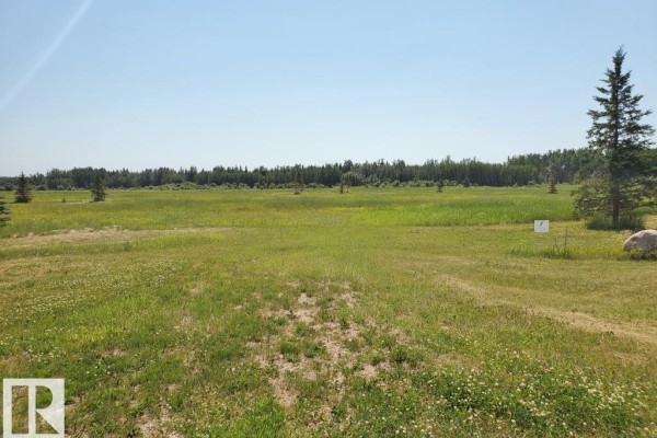 5 465011 Rge. Rd 64, Rural Wetaskiwin County, AB T0C0T0 Photo 4