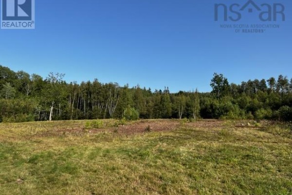 Cleared land with grass and trees in the background under a bright blue sky. - 5 Acres Park Falls Road, Sutherlands River