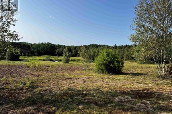 Pond surrounded by lush greenery and trees, reflecting the landscape in calm water. - 5 Acres Park Falls Road, Sutherlands River