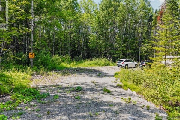 5 Beech Street, Beardsley, NB E7M4G6 Photo 5