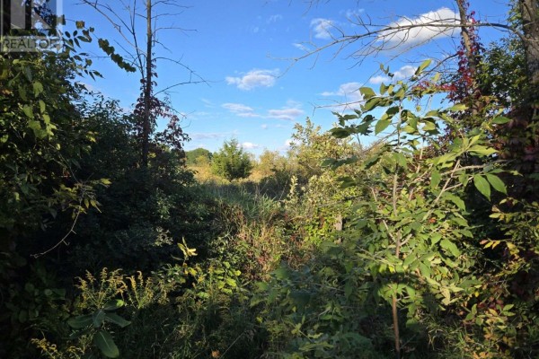 5 Bush Road, Rideau Lakes, ON K0G1E0 Photo 2