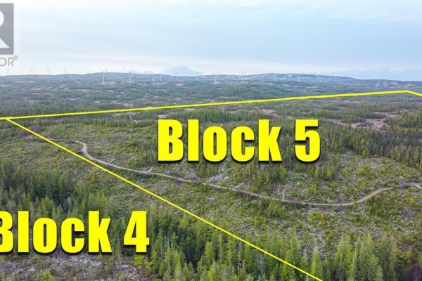 5 Cape Sutil Holberg (off) Hwy, Port Hardy, BC V0N2P0 Photo 4