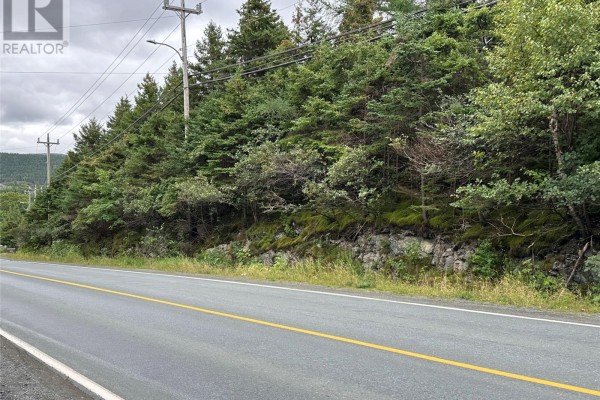5 Corporal Jamie Murphy Drive, Conception Hr , NL A0A1Z0 Photo 2