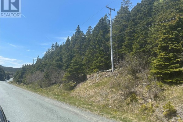 5 Corporal Jamie Murphy Drive, Conception Hr , NL A0A1Z0 Photo 3