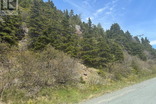 5 Corporal Jamie Murphy Drive, Conception Hr , NL A0A1Z0 Photo 5