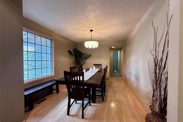 Living room - 5 Fishman Place, The Pas, MB R9A1K2 Photo 3