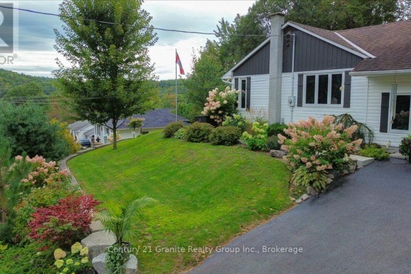 Living room - 5 Forest Hill Road, Bancroft, ON K0L1C0 Photo 2