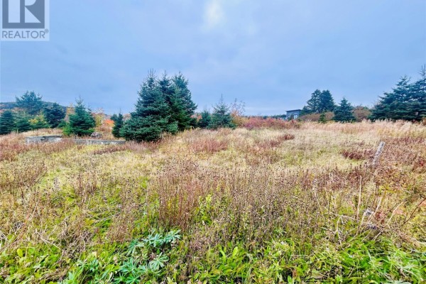 5 Hill Road, Dildo, NL A0B1P0 Photo 3