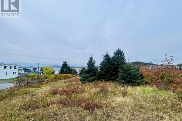 5 Hill Road, Dildo, NL A0B1P0 Photo 5
