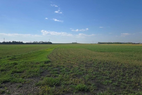 Expansive view of a green agricultural field under a blue sky with scattered clouds. - 5 Hunter Road, Springfield Rm