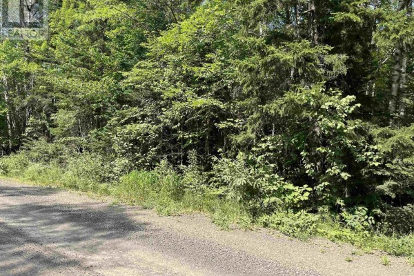 5 Lot 5 Butler Road Road, Forest Home, NS, photo 3