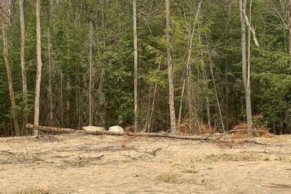 5 Mountain Basin Drive, Parry Sound, ON P2A2W9 Photo 4