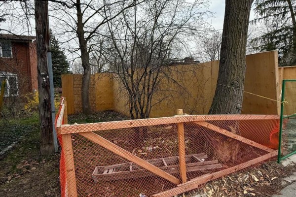 5 Mylesview Place, Toronto, ON M2N2M7 Photo 4