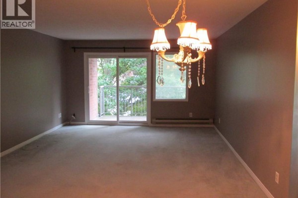 Living room with beige carpet, gray walls, and a large sliding glass door. - 5 Niagara Street Unit# 203, Grimsby
