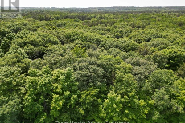 5 Overhead Bridge Road, Tiny, ON, photo 3