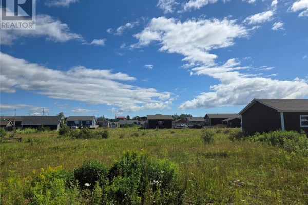 Recreation room - 5 Pieroway Drive, Stephenville, NL A2N0E6 Photo 5