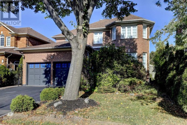 Kitchen - 5 Pinecone Way E, Brampton, ON L6R1N5 Photo 2