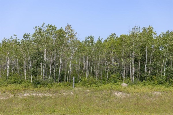 Vacant lot with birch trees, green grass, and a fence post under a blue sky. - 5 River 59n Road, Anola