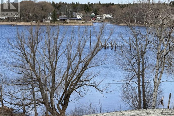 5 Rosedale Avenue, Parry Sound Remote Area, ON, photo 3