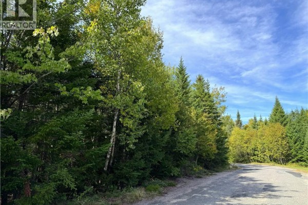 5 Spurline Avenue, Pennfield, NB E5H2J7 Photo 3