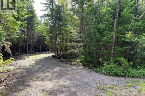 5 Spurline Avenue, Pennfield, NB E5H2J7 Photo 4