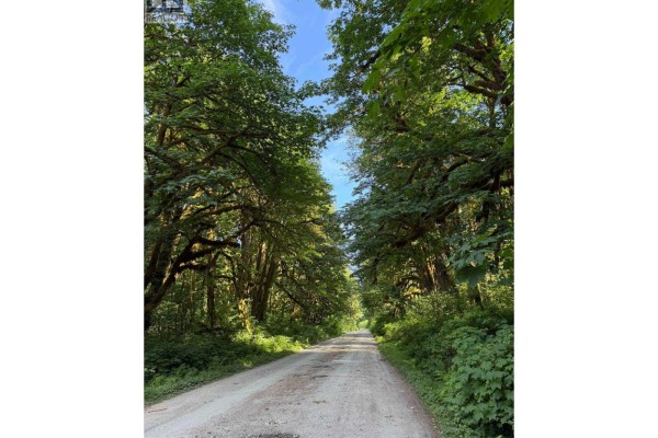 5 Upper Pitt River Road, Pitt Meadows, BC V0M1C0 Photo 4