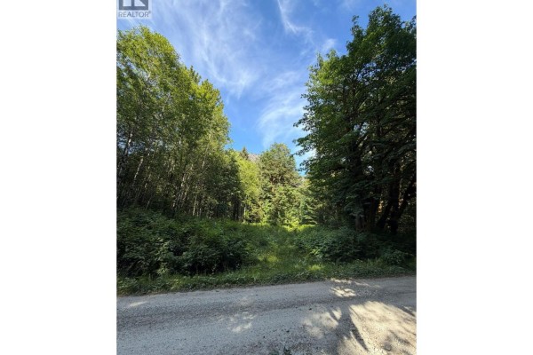 5 Upper Pitt River Road, Pitt Meadows, BC V0M1C0 Photo 5