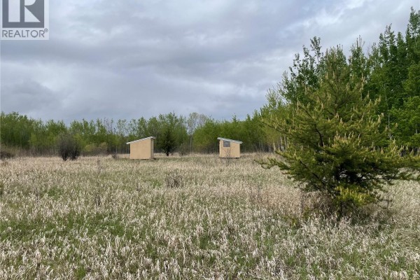 5.5km South Of Dorintosh Lot 2, Meadow Lake Rm No 588, SK S0M0T0 Photo 4