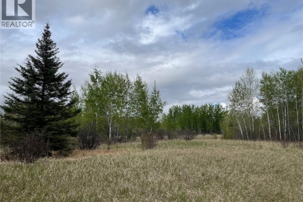 5.5km South Of Dorintosh Lot 2, Meadow Lake Rm No 588, SK S0M0T0 Photo 5