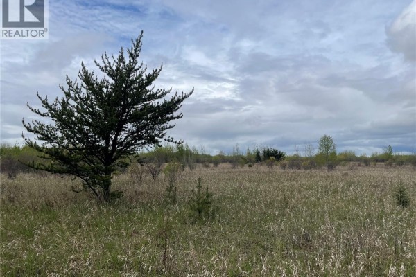 5.5km South Of Dorintosh Lot 3, Meadow Lake Rm No 588, SK S0M0T0 Photo 4