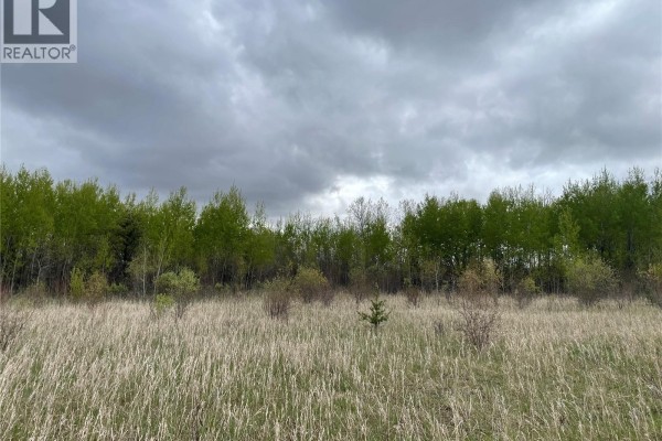 5.5km South Of Dorintosh Lot 3, Meadow Lake Rm No 588, SK S0M0T0 Photo 5