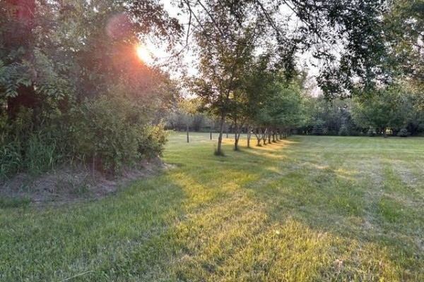 50 Cottonwood Crescent, Brandon, MB R0K2A0 Photo 5