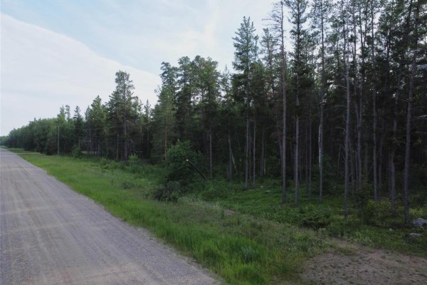 Gravel road and grassy verge with mature coniferous trees along the side. - 50 James Drive, Molson