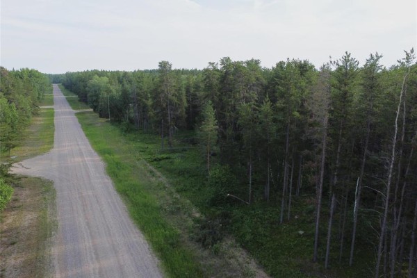 Long, straight gravel road through a vast, mature coniferous forest. - 50 James Drive, Molson