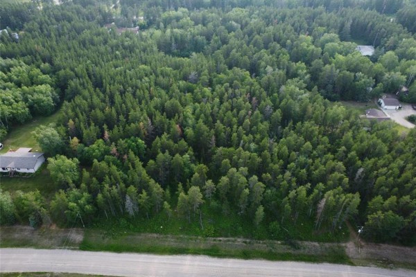 Aerial view of wooded property with homes on the left and right edges. - 50 James Drive, Molson