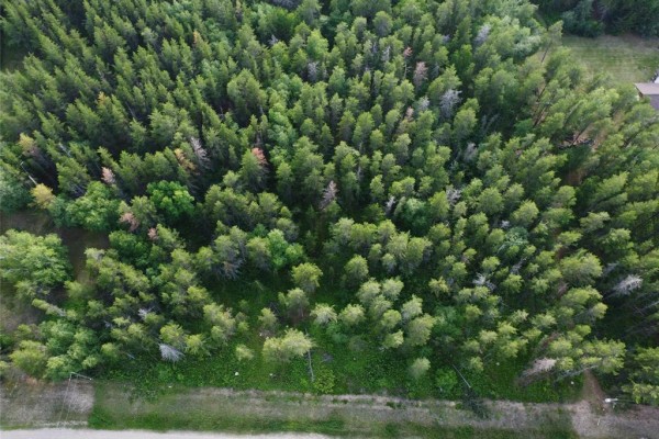 Overhead view of a thick, green forest canopy with scattered clearings and houses. - 50 James Drive, Molson