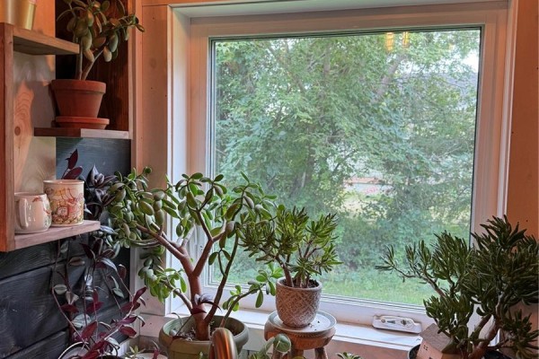 3pc Bathroom - 50 Main Street S, Carrot River, SK S0E0L0 Photo 4