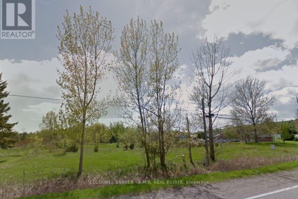 50 Ontario Street, Cramahe, ON, photo 3