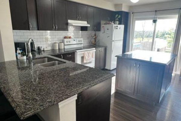 Kitchen - 50 Payne Crescent, Aurora, ON L4G0X8 Photo 4