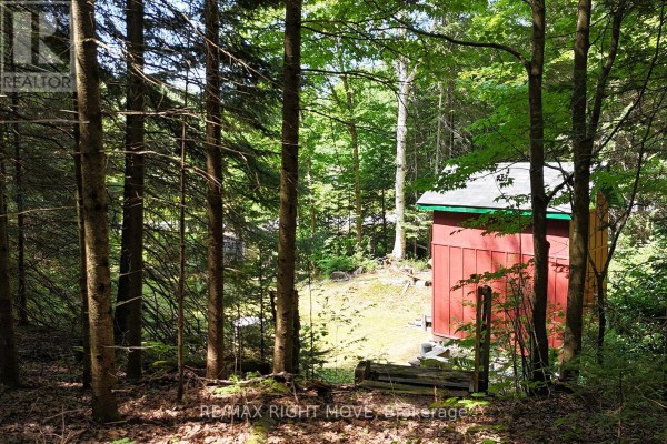 View of a small red structure through mature trees on a sunny day. - 50 Sunrise Drive, Kearney