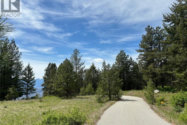 500 Sasquatch Trail, Osoyoos, BC, photo 3