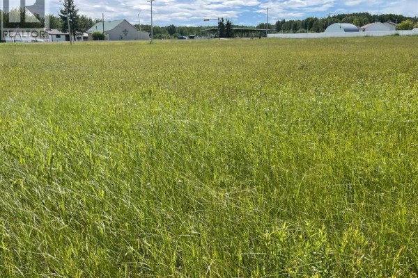 5002 50 St, Rural Brazeau County, AB, photo 3