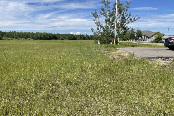 5002 50 Street, Rural Brazeau County, AB, photo 3