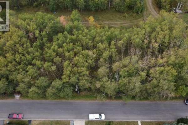 5007, 5009, 5011 42b Street, Ponoka, AB T4J1C4 Photo 4