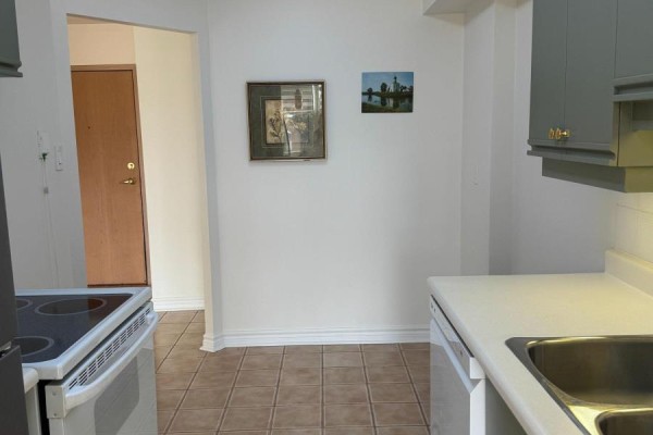 Kitchen - 501 - 55 Elm Drive W, Mississauga, ON L5B3Z3 Photo 3