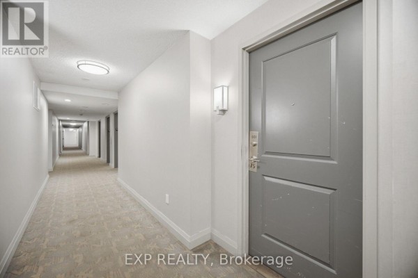 Long, carpeted hallway with neutral walls and doors, leading to apartment 501 on the right. - 501 - 75 East Liberty Street, Toronto