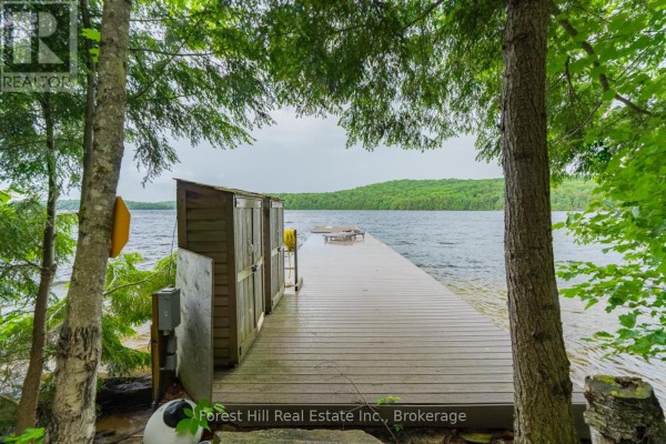 5017 Kawagama Lake Road, Algonquin Highlands, ON P0A1E0 Photo 4