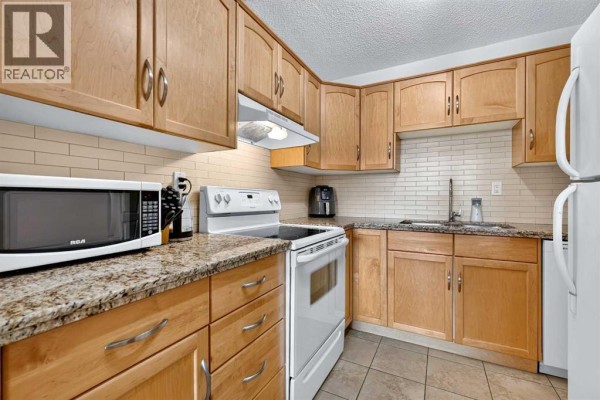 Foyer - 502, 1123 13 Avenue Sw, Calgary, AB T2R0L7 Photo 5