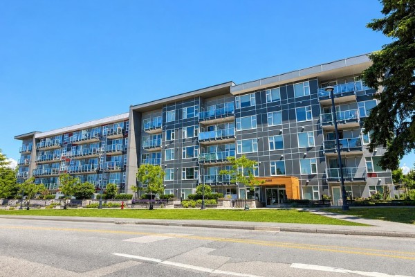 502 10838 Whalley Boulevard, Surrey, BC V3R0G8 Photo 3